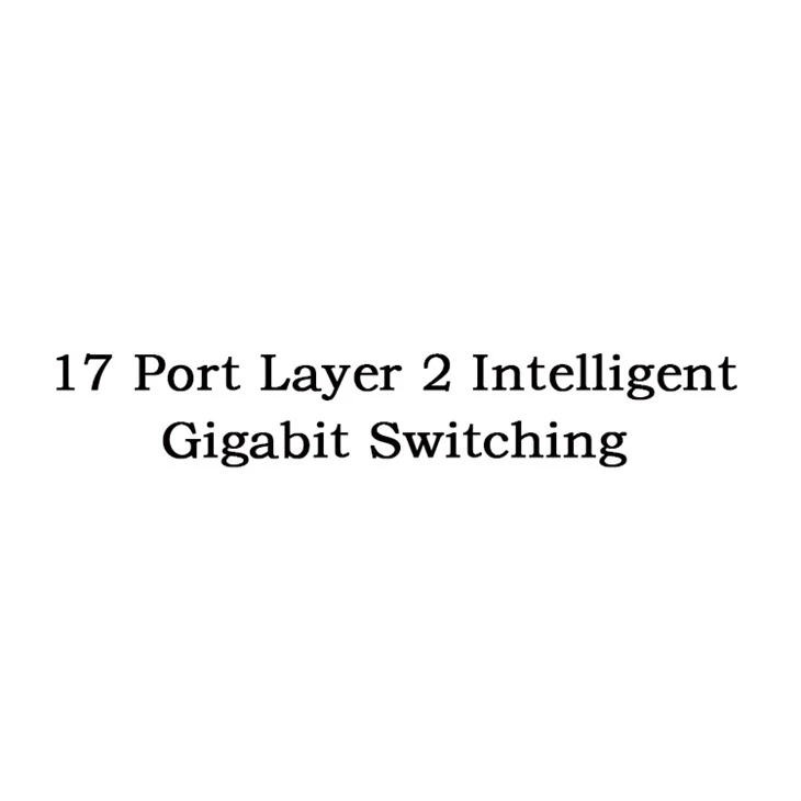 17-poorts Layer 2 intelligente gigabit-switching